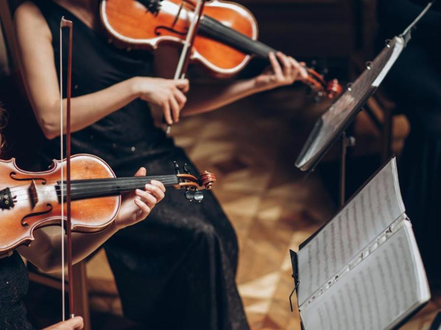 Violinister i klassisk orkester